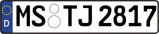 MS-TJ2817