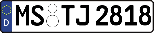 MS-TJ2818