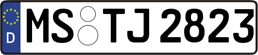 MS-TJ2823