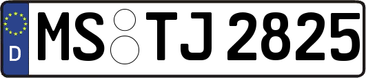 MS-TJ2825