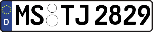 MS-TJ2829