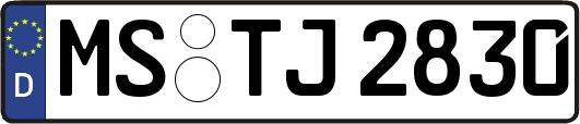 MS-TJ2830