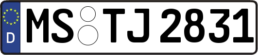 MS-TJ2831