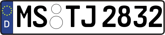 MS-TJ2832