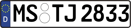 MS-TJ2833