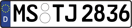 MS-TJ2836