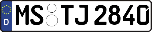 MS-TJ2840
