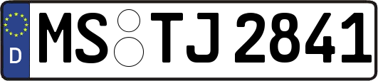 MS-TJ2841
