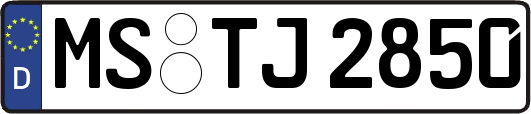 MS-TJ2850