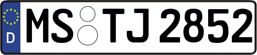 MS-TJ2852