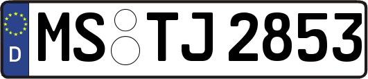 MS-TJ2853