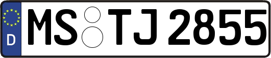 MS-TJ2855