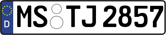 MS-TJ2857
