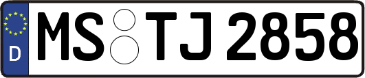 MS-TJ2858