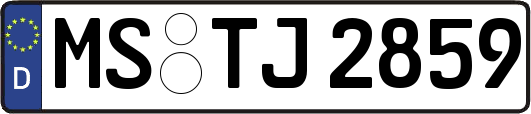 MS-TJ2859