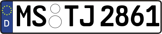 MS-TJ2861