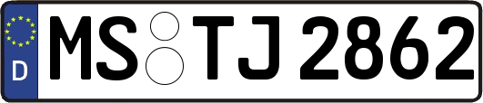 MS-TJ2862