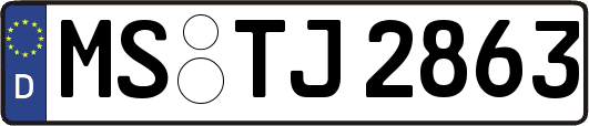 MS-TJ2863