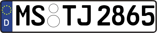 MS-TJ2865