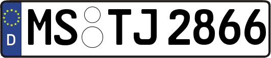 MS-TJ2866