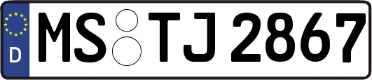 MS-TJ2867
