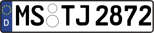 MS-TJ2872
