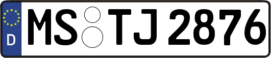 MS-TJ2876