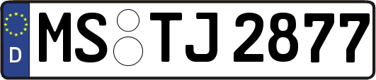 MS-TJ2877