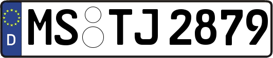 MS-TJ2879