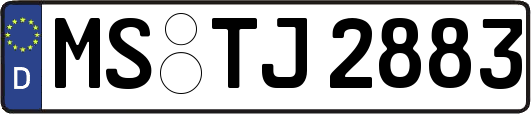 MS-TJ2883