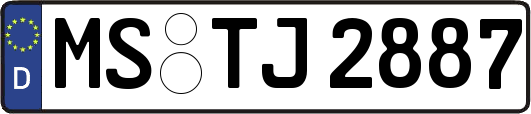 MS-TJ2887
