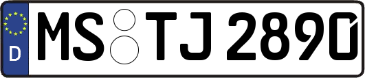 MS-TJ2890