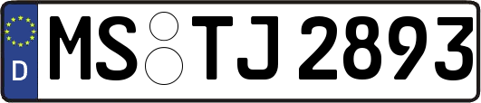 MS-TJ2893