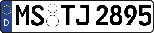 MS-TJ2895
