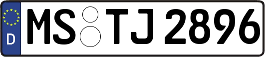 MS-TJ2896