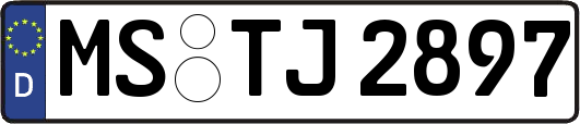 MS-TJ2897