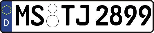 MS-TJ2899