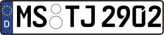 MS-TJ2902