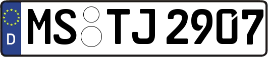 MS-TJ2907