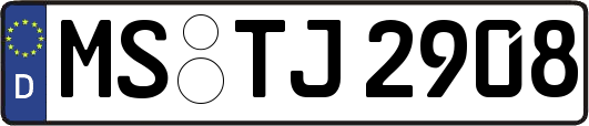 MS-TJ2908