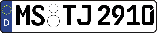 MS-TJ2910