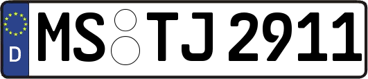 MS-TJ2911