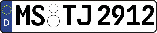 MS-TJ2912