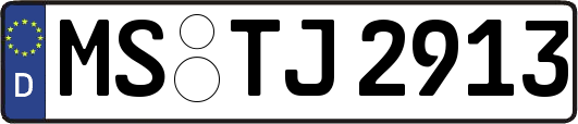 MS-TJ2913