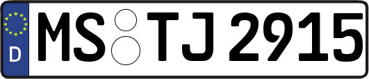 MS-TJ2915