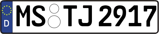 MS-TJ2917