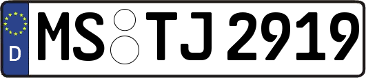 MS-TJ2919