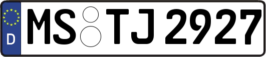 MS-TJ2927