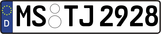 MS-TJ2928