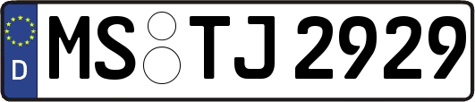 MS-TJ2929